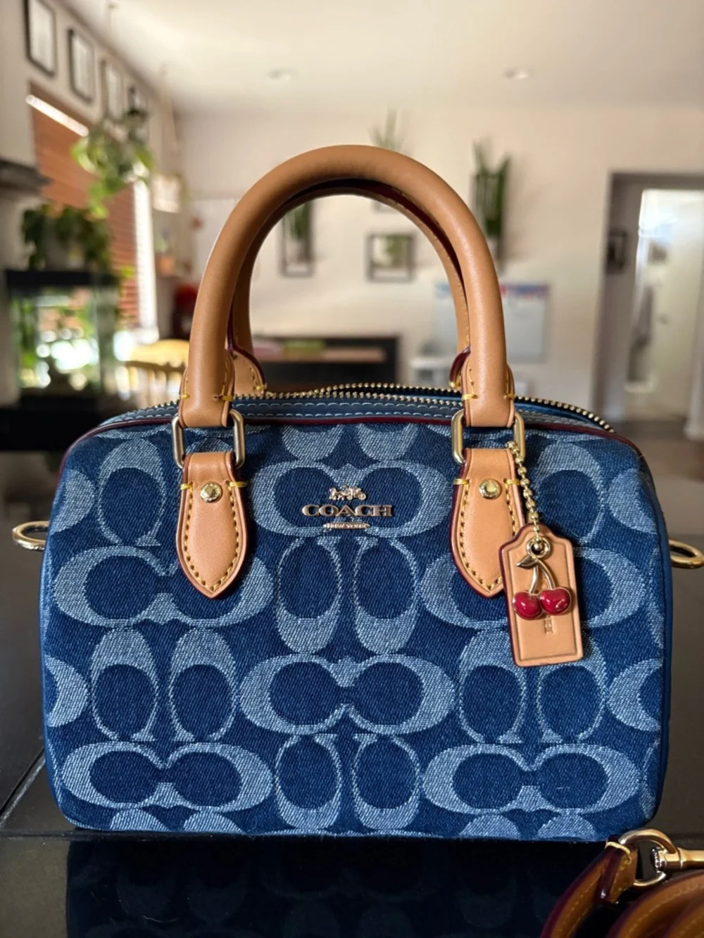 Coach outlet mini Denim Rowan Cherry 🍒 edition with card holder - Picture 2 of 9